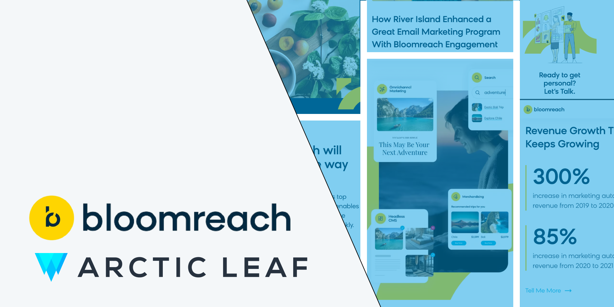 Bloomreach and Arctic Leaf partnership announcement